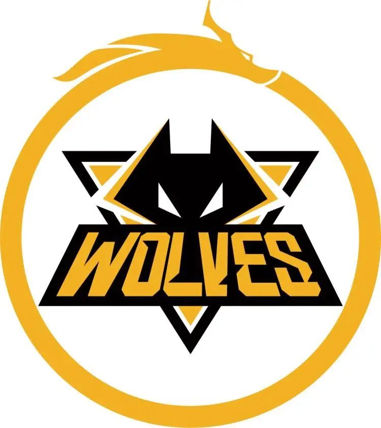 青年风暴！Hanyi 揭晓了 Team WE 阵容：试用韩国双核，上单 YSKM ／ Cube